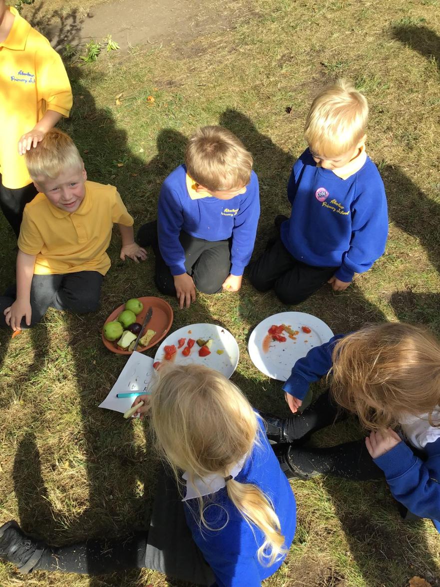 Outdoor learning – Using Loose parts to build an outdoor den