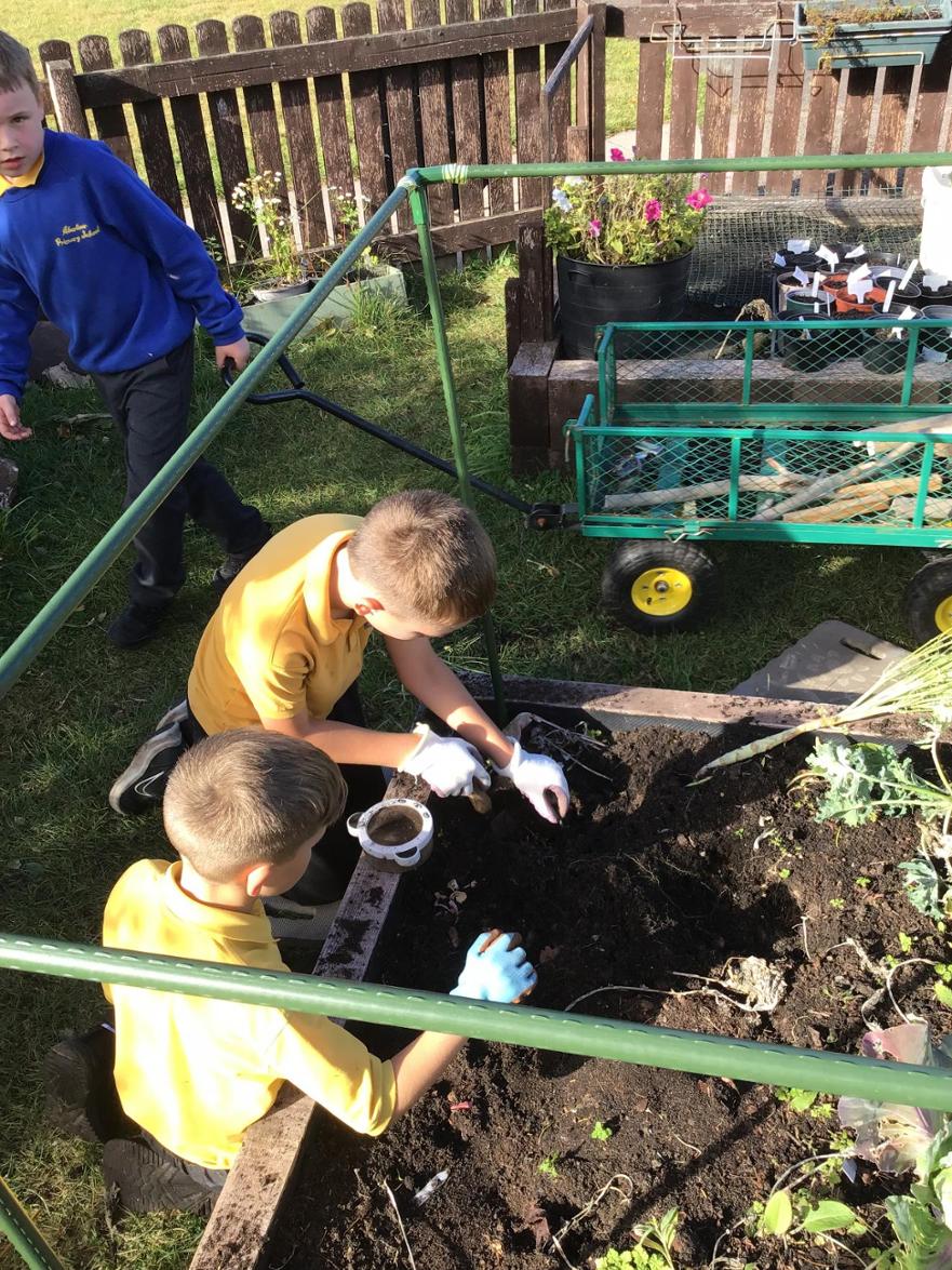 Outdoor Learning Image of two children digging in the garden